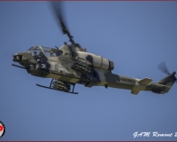 TSR Watermark - 0452
